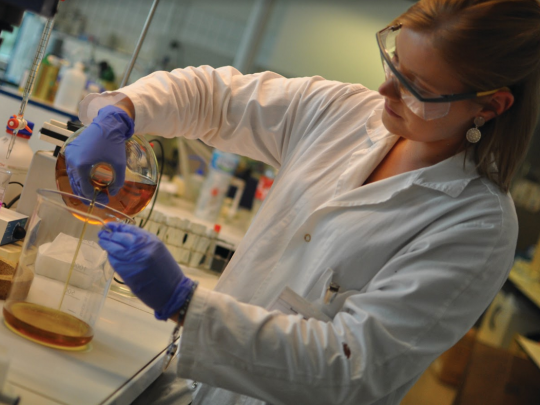 Gecco met au point son biodiésel à base d'huile de friture dans les laboratoires de l'Université de Lille. Crédit : Gecco
